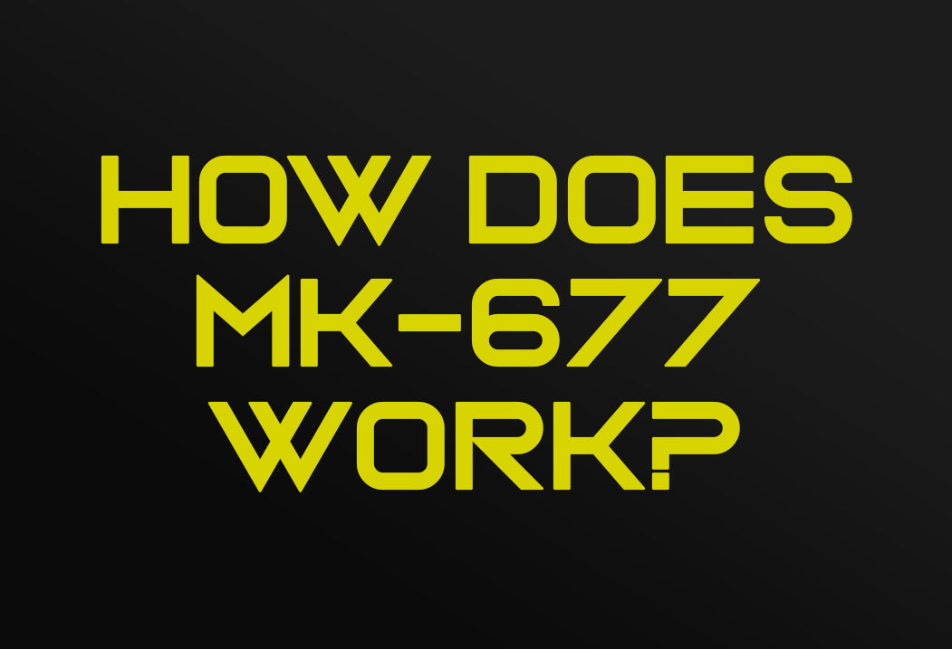 How does MK-677 Work?