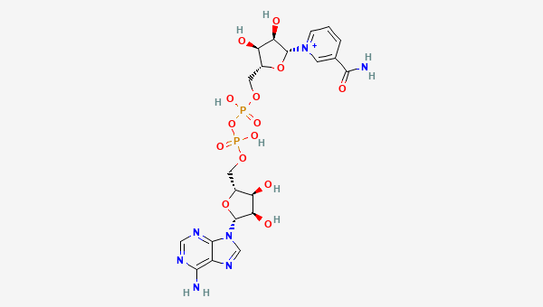 nad-plus molecular structure